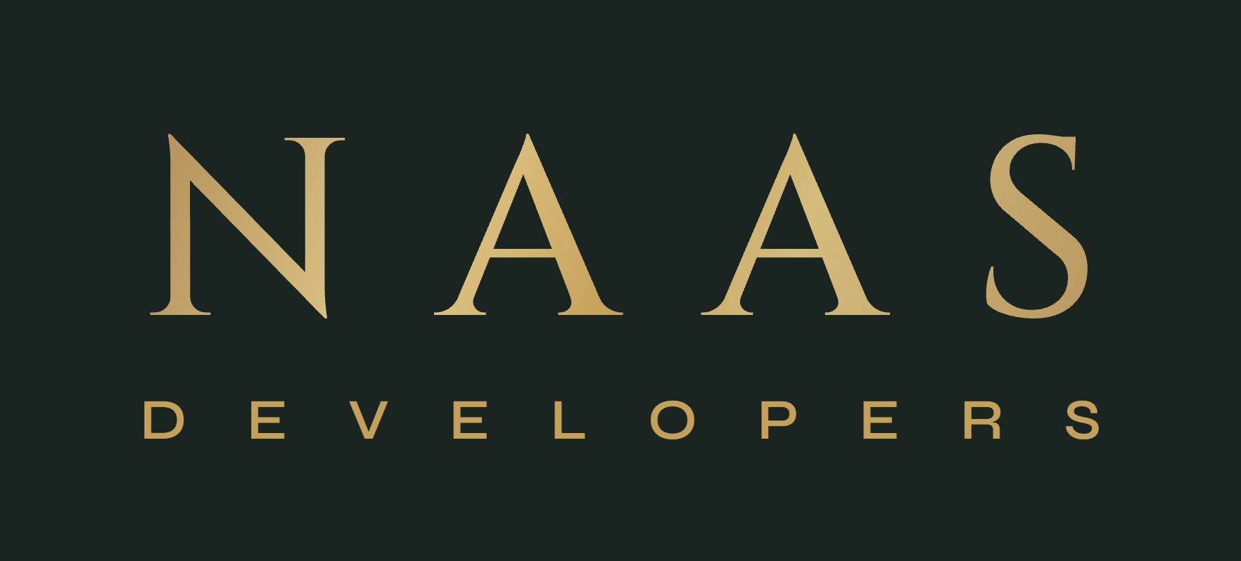 Naas Developers